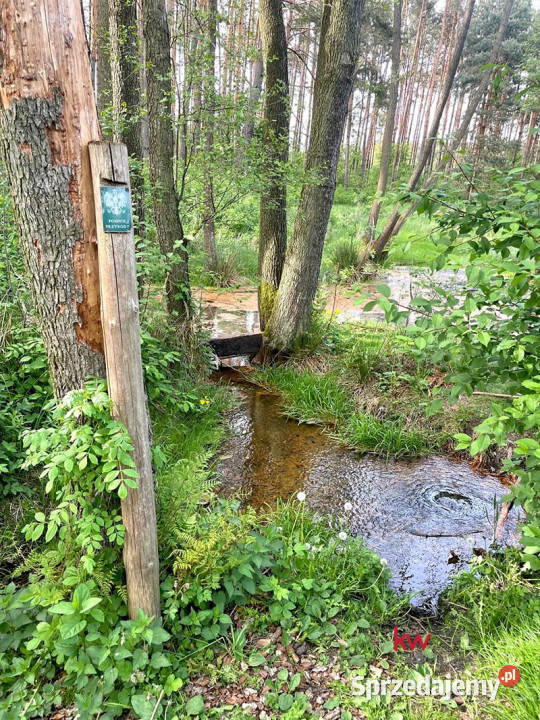 Działka do sprzedania 705m2 Wierzchlas łódzkie