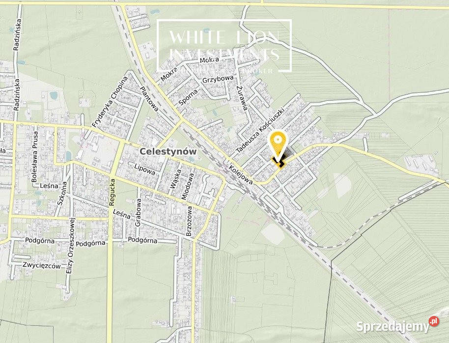 Grunt Celestynów 2339m2 sprzedam