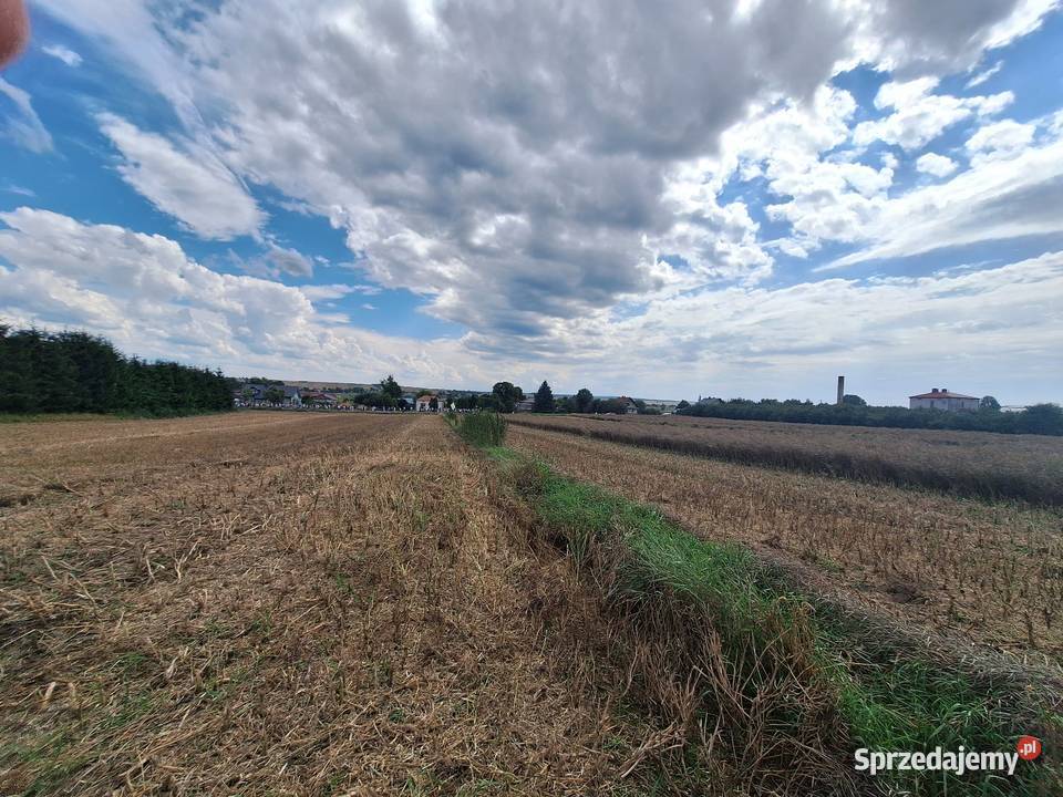 Działki budowlano inwestycyjne DK74 inwestycyjna Wielącza Poduchowna sprzedam