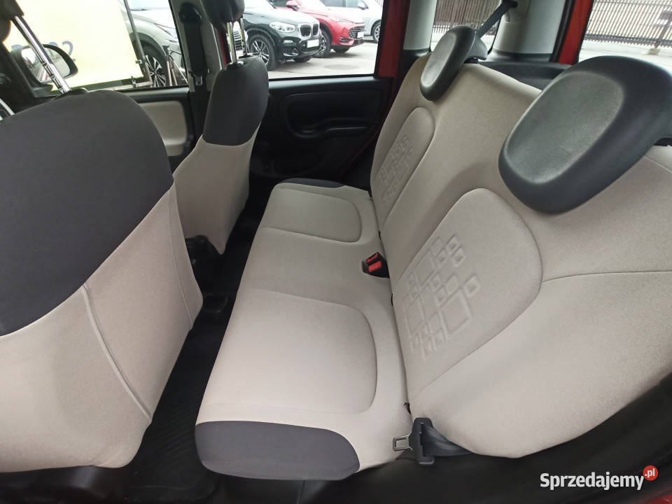 salon I właściciel bezwypadkowy Panda Rzeszów