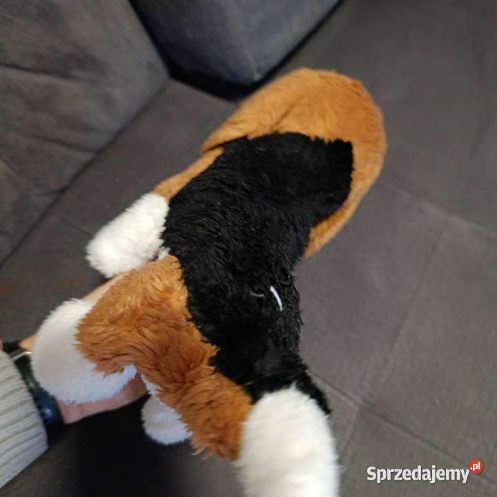 piesek maskotka pluszak kolejny Poznań