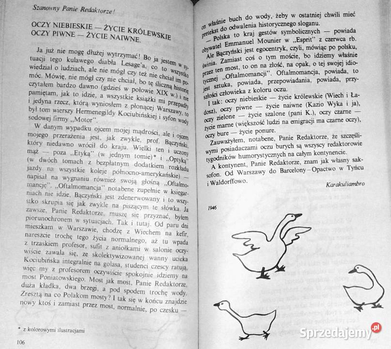 Teatrzyk Zielona Gęś przedstawia Konstanty