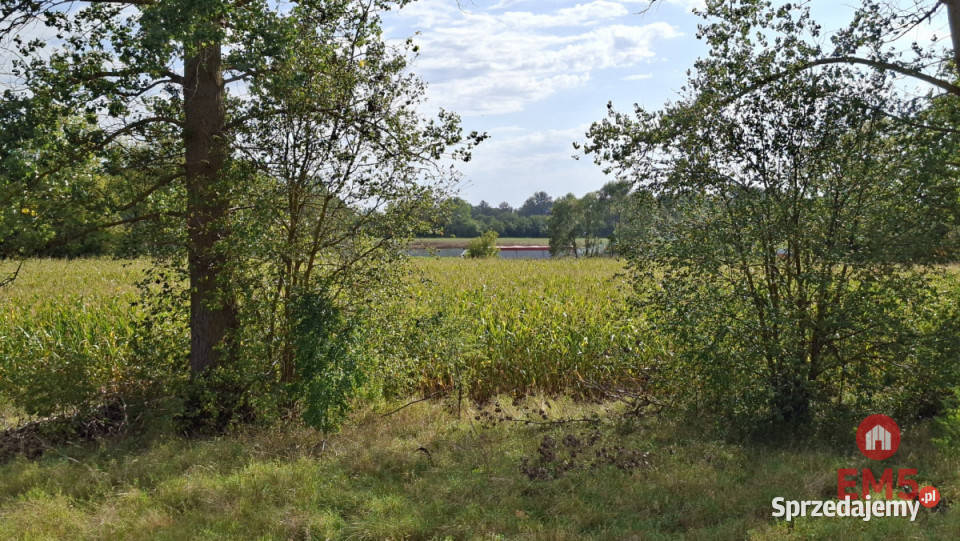 Działka 15596m2 Choroszcz woda Sprzedaż