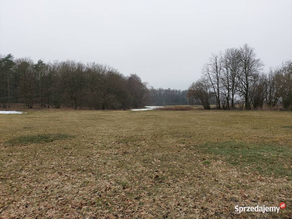 działka budowlana o pow 6857 m kw Glinki gm sprzedam