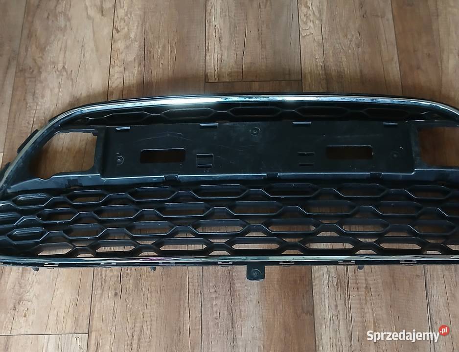 Grill kratka przednia C 3