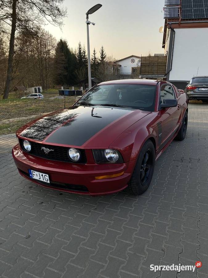 Ford Mustang gt 46 v8 Międzyrzecz
