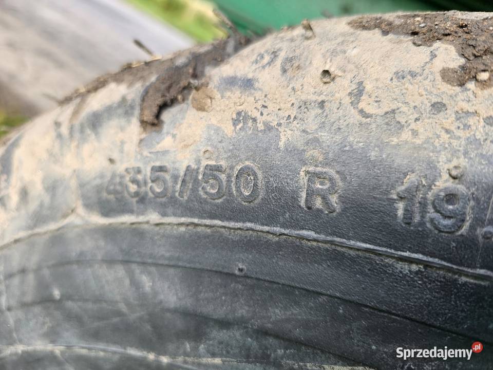 CMS C9 2022 r Pozostałe Wilkowo
