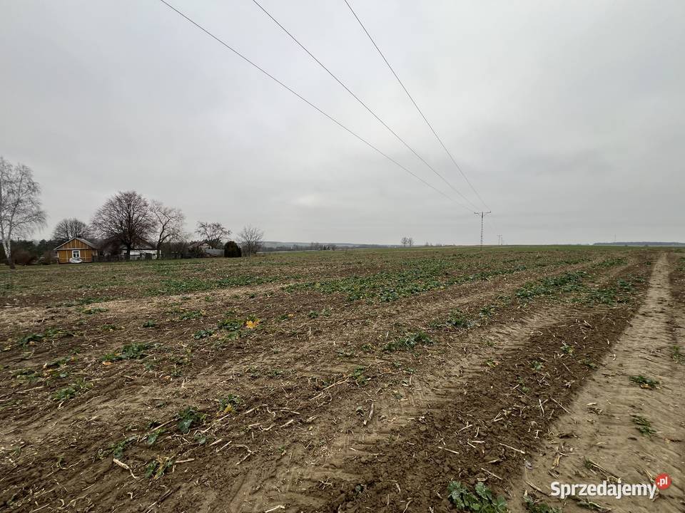 Bychawka DrugaKolonia działka budowlana 18ar Bychawka Druga-Kolonia