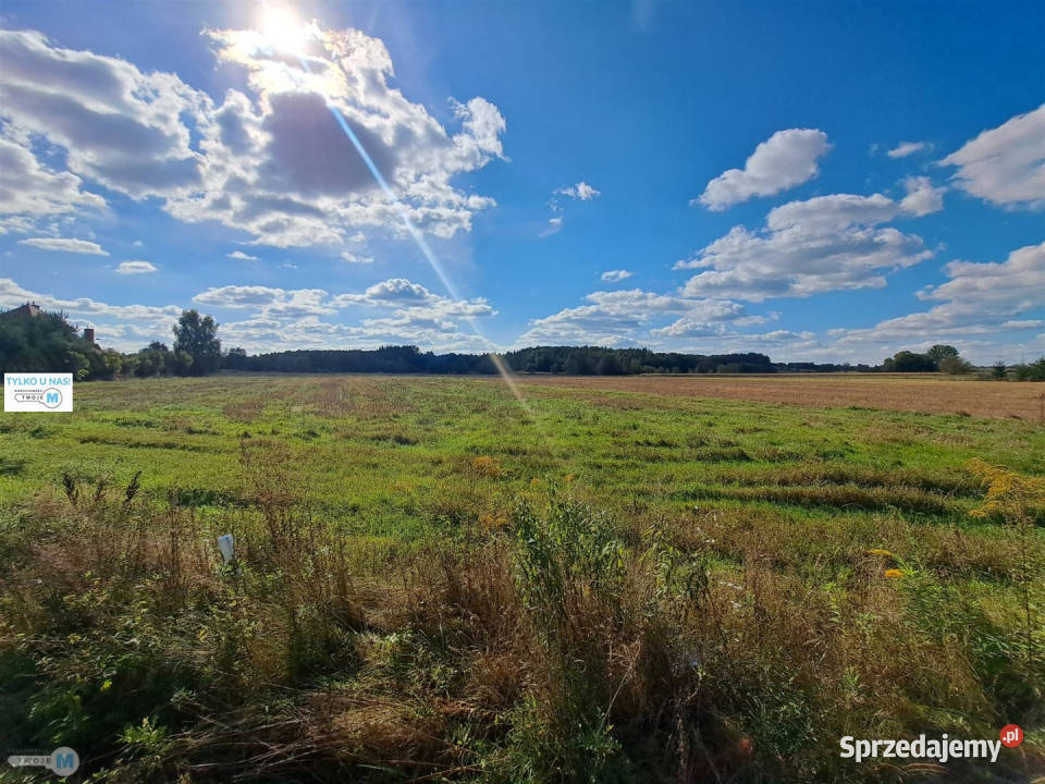 Działka Chmielnik 1975m2