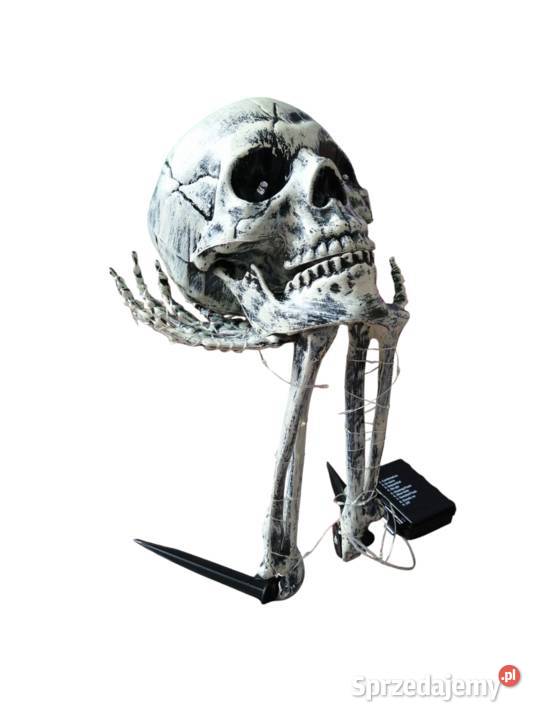 Świecący szkielet na Halloween zestaw czaszka
