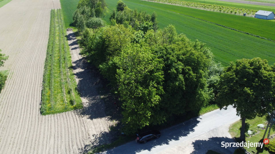 Szeroka działka budowlana 20a Wola Duża Kolonia