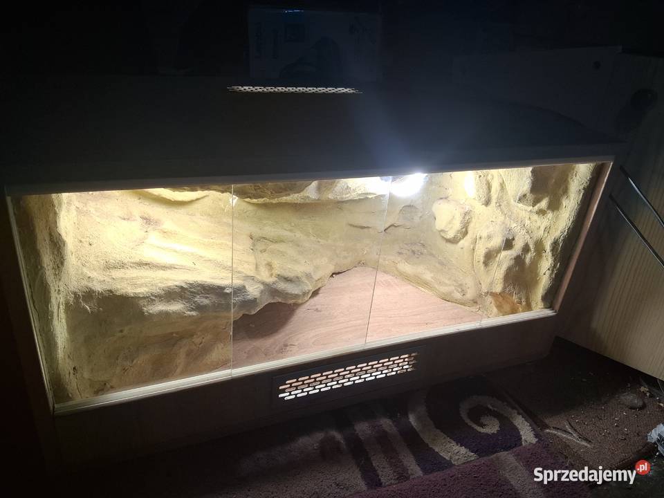 Terrarium Gekona 80x40x40 Pustynne Sławków