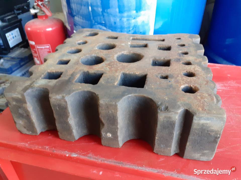 Dziurownica kowalska Tarnobrzeg