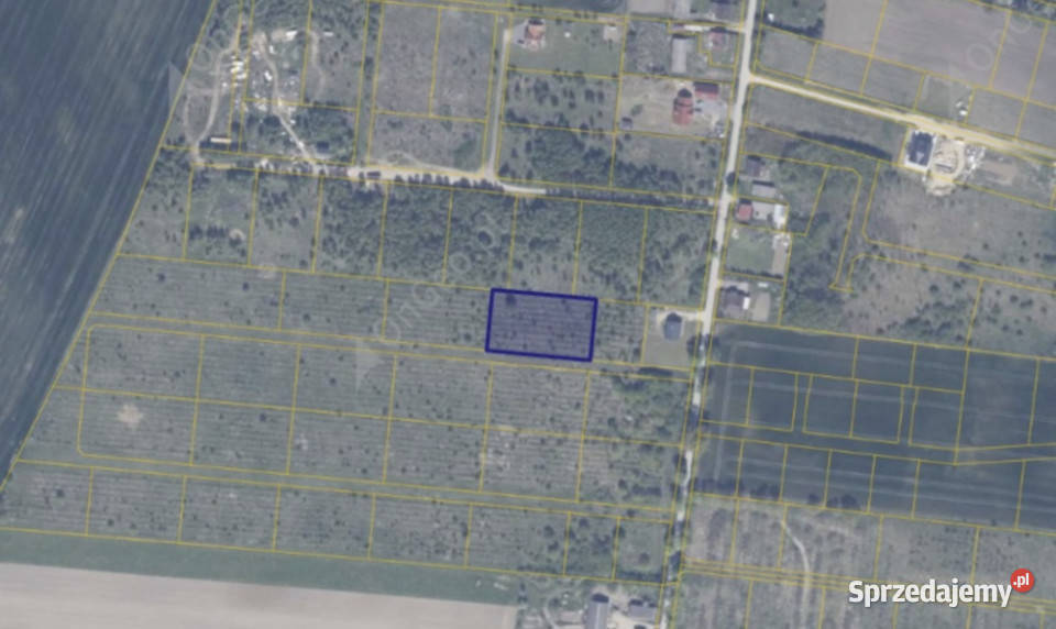 Działka 11814 w miejscowości Gołębiewo 33zł/m2 Sprzedaż Gołębiewo Wielkie sprzedam