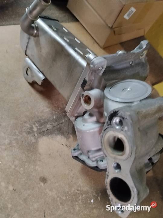 EGR Ford Jawor sprzedam