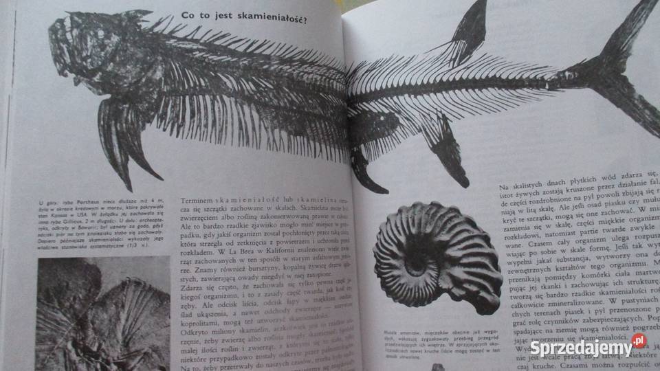 ZIEMIA ROŚLINY ZWIERZĘTA LAROUSSE encyklopedia łódzkie sprzedam