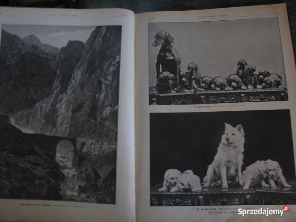 Stary JOURNAL 1902 Stockholm śląskie Bielsko-Biała