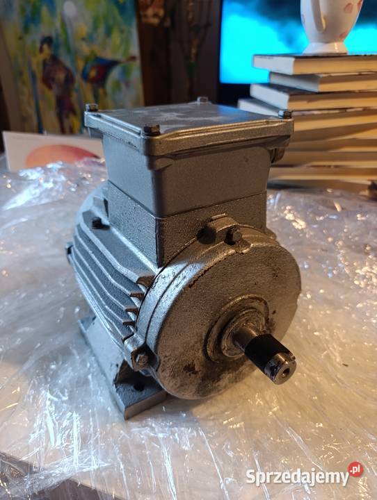 Silnik elektryczny produkcji MARAZ MOTOR z pomorskie