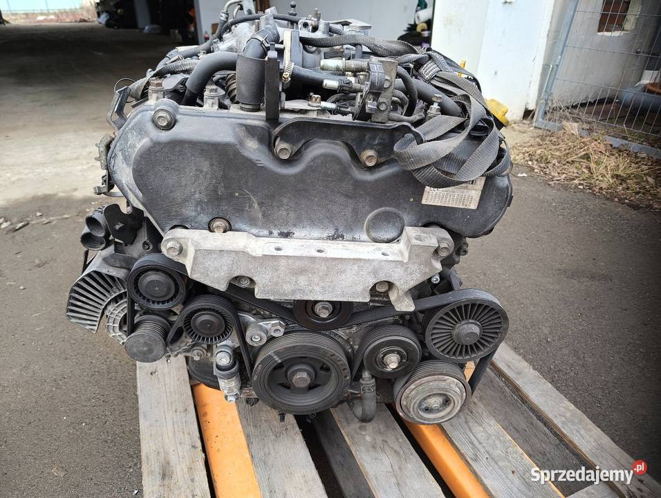 Silnik Opel Signum 30 V6 CDTI Brzeg