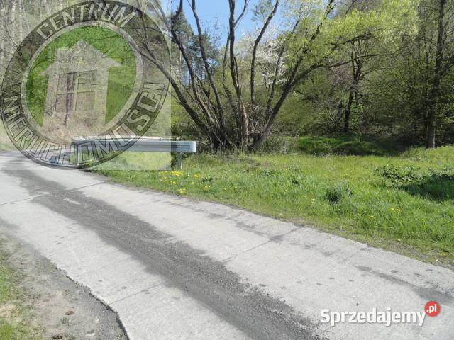 Grunt 13400m2 RoztokaBrzeziny 13400m2 Roztoka-Brzeziny