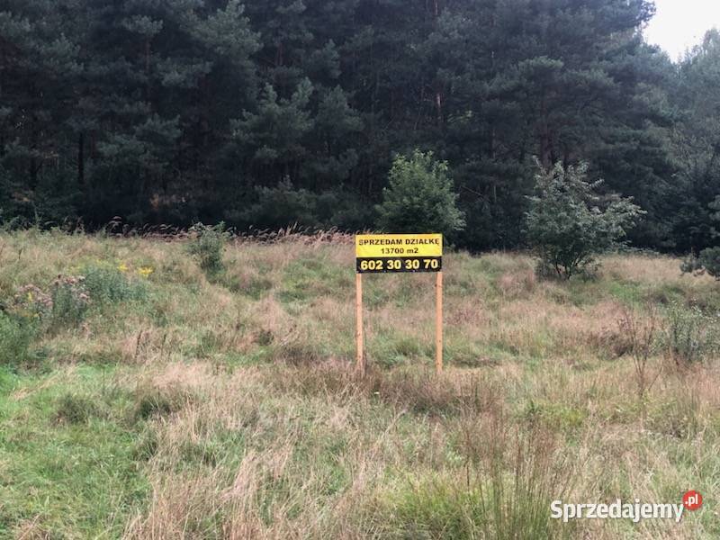 Sprzedam działkę w Tarnowskich Górach 14200m2 166zł/m2