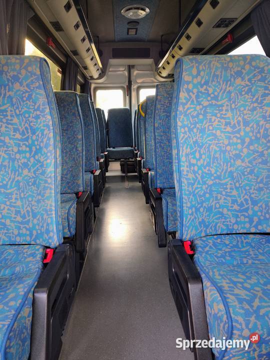 Iveco Daily autobus Opole