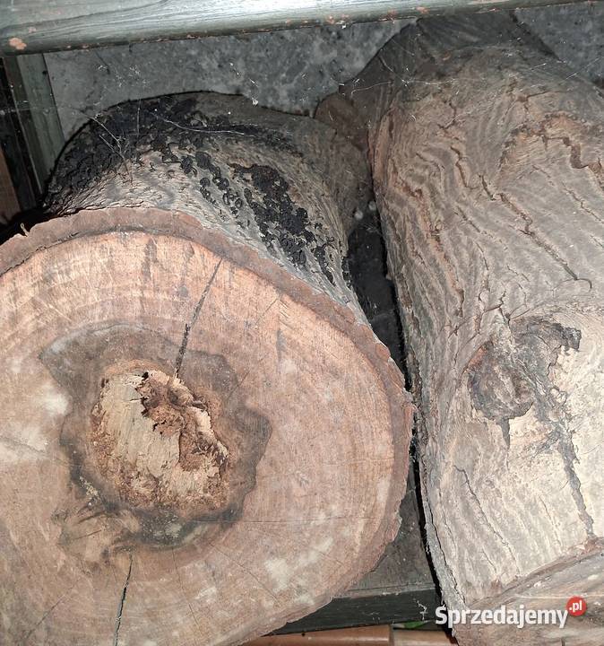 Oddam drewno orzech klocki i struganka Wrocław