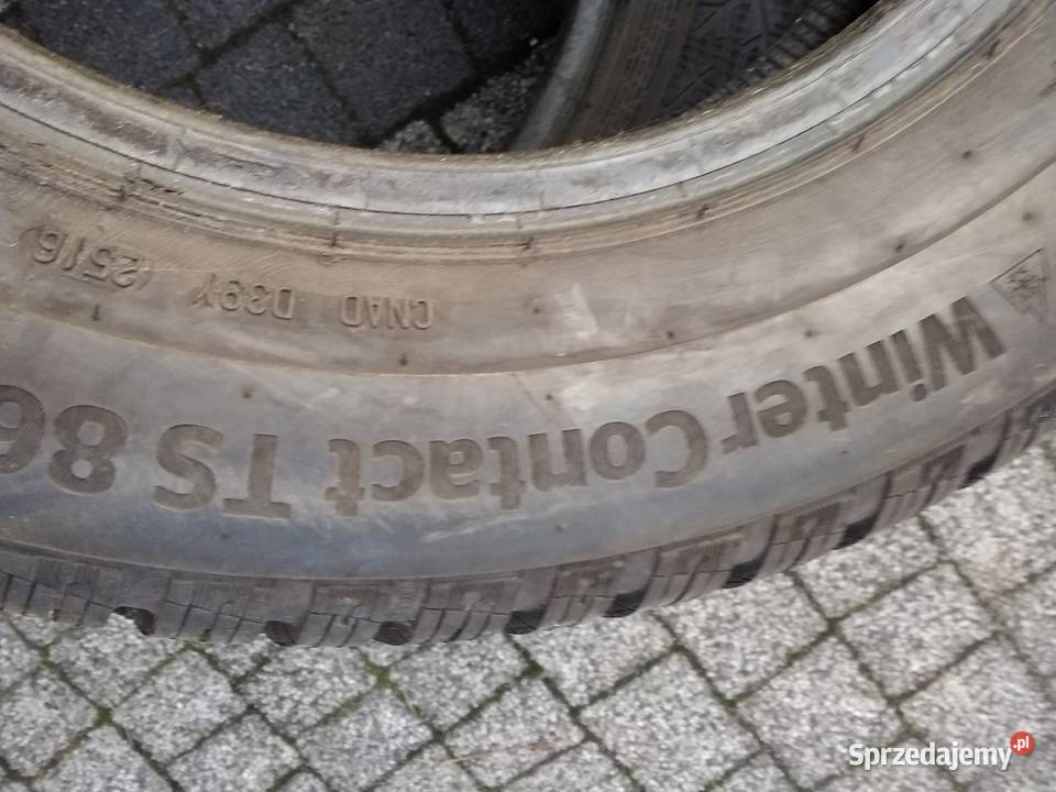 opony letnie Barum 1657014 continental 1856515 Poznań