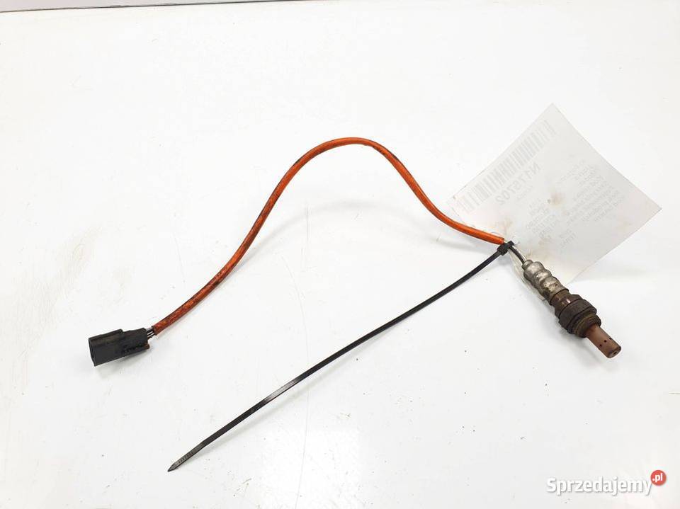 SONDA DACIA SANDERO H7700274189 osobowe Pozostałe kujawsko-pomorskie Lipno