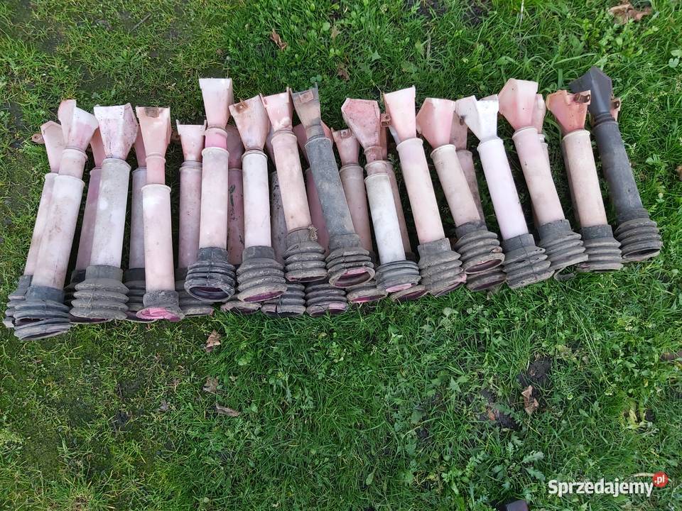 Lejek do siewnika poznaniak zachodniopomorskie Stróżewo