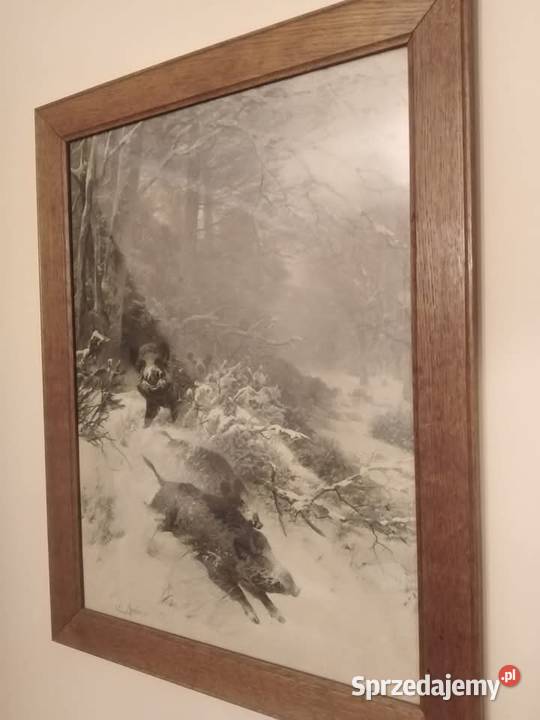 Obraz z Historią Gorbersdorf Dziki