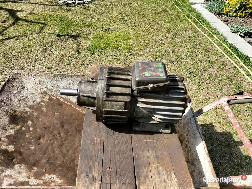 Łupiarka do drzewa Łupiarka do drzewa Człopa