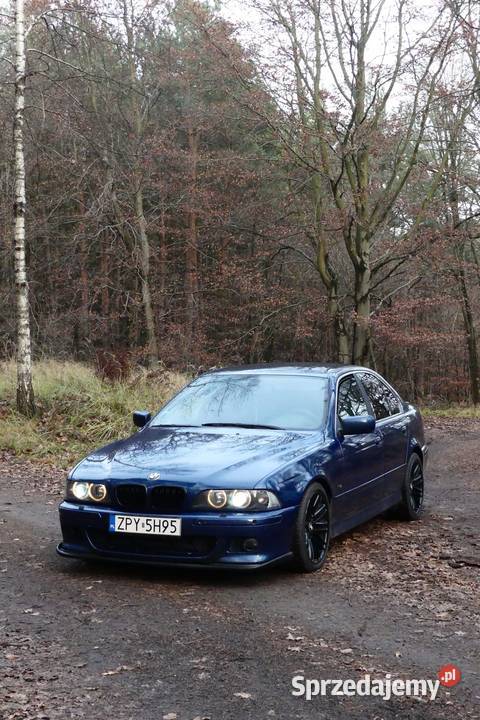 Bmw e39 530i M54b30 Czerników sprzedam