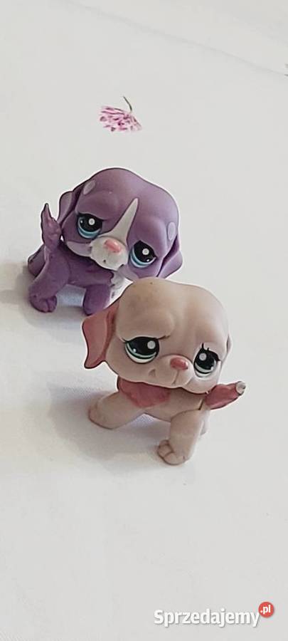 Pieski bernardy zestaw LPS Braniewo