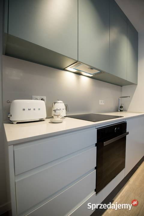 Centrum Gdańska Wyspie Spichrzów Studio Nowy Gdańsk