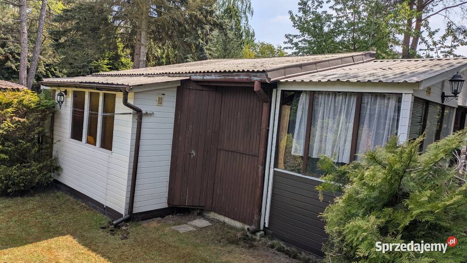 Całoroczna działka ROD Relaks Szczaki z CO 25 500m2