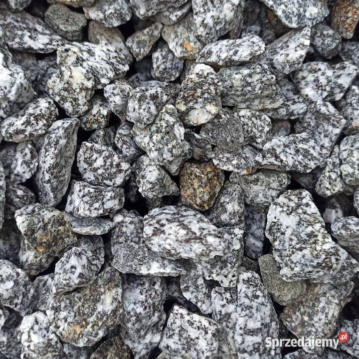 Grys Granitowy Dalmatian Kora Kamienna Janowicki Chrzanów