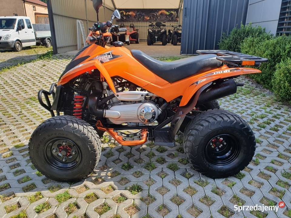 DINLI 300 Homologacja AUTOMAT SERWIS DOSTAWA Wały A sprzedam