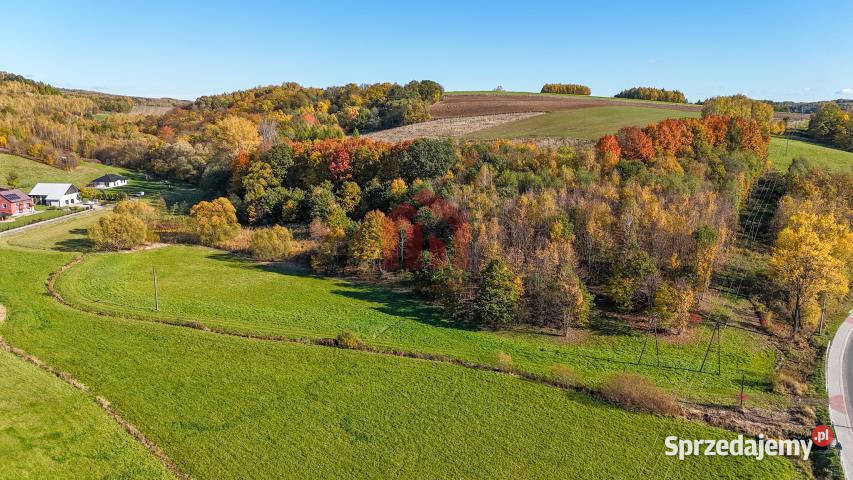 Działka Wielopole Skrzyńskie 1000m2