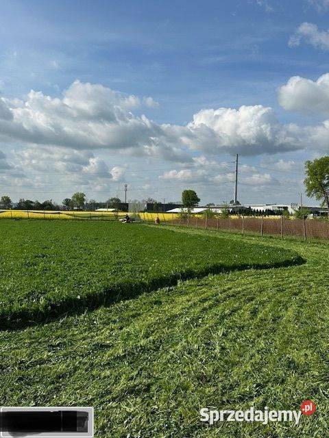 Działka budowlana 3000 m2 MEDIA Żórawina Sprzedaż sprzedam