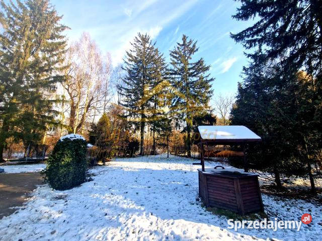 sprzedaży domu wolnostojącego BudyGrzybek 60m2 Budy-Grzybek