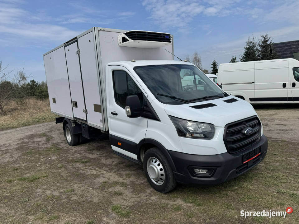Ford Transit 20 Tdci 170 Kontener Chłodnia Rok produkcji 2020 Turek