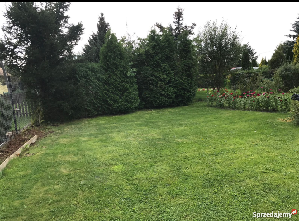 Sprzedam działkę rekreacyjne Kajetany sprzedam
