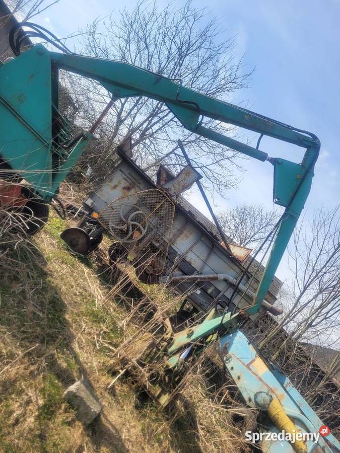 Cyklop polski nieuszkodzony Przodkowo