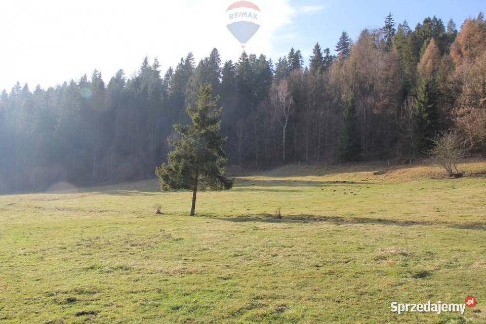 Działka budowlano rolna w miejscowości Grywałd