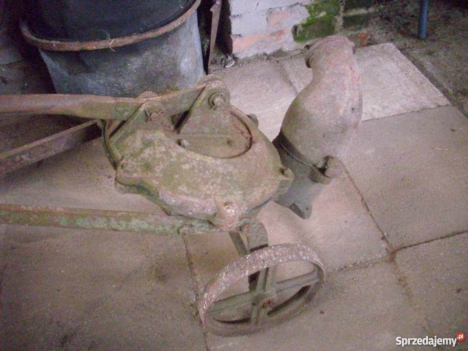 Przedwojenna zabytkowa pompaozdoba ogrodu Pozostałe zachodniopomorskie Lipiany sprzedam