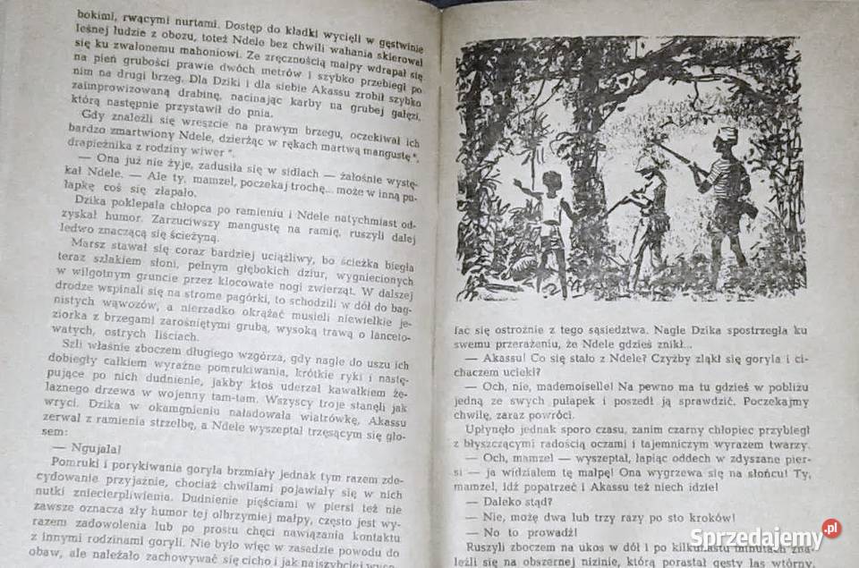 W puszczach i sawannach Kamerunu Kamil Giżycki Pozostałe lubelskie Chełm