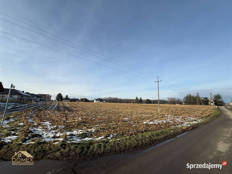 Grunt do sprzedania Dębowiec 1150m2