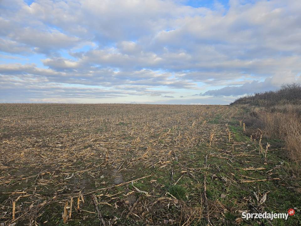 Działka w rozwijającej się okolicy dolnośląskie Snowidza