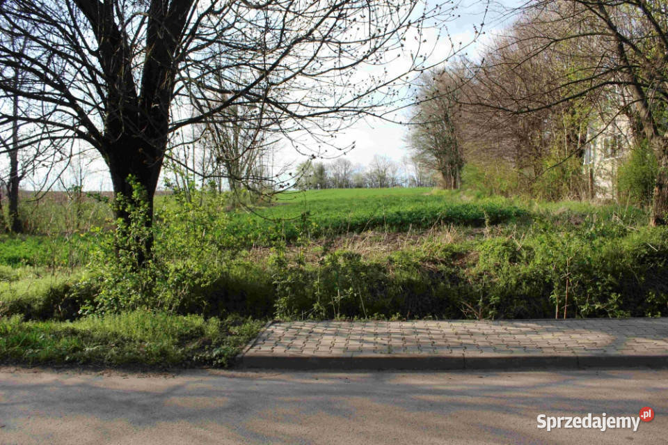 Działka budowlana 40 ar z WZ rentowny budynek Sprzedaż Hulcze